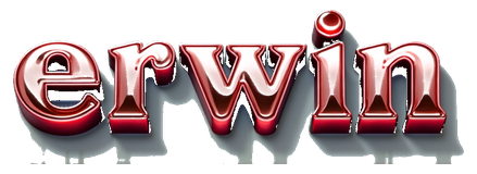 erwin logo